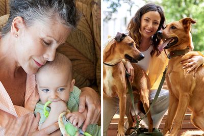 Woman Stops Talking To Mom Who Chose To Babysit Her Grandson Instead Of Watching Her Dogs