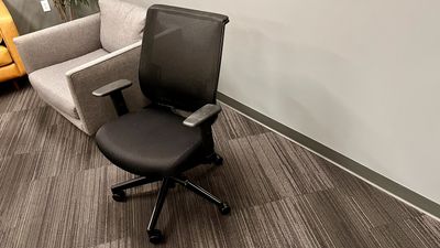 Oak Hollow Reina Office Chair review