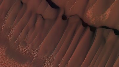 Space photo of the week: Stunning sand dunes slash across Mars' polar ice cap