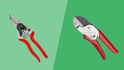 Anvil pruner vs bypass pruner—which pruning shears to use?