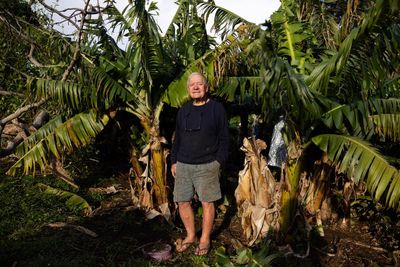 They’re 600km off the coast, but farmers on Lord Howe Island say ‘we can’t compete with Woolworths’