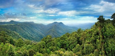 Industry push to earn carbon credits from Australia’s native forests would be a blow for nature and the climate