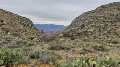 A Rough Road to the Christmas Mountains