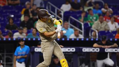 Former MLB Umpire Explains Controversial Home Run Reversal in Padres-Marlins