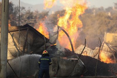 Greek firefighters battle through the night as flames threaten Athens