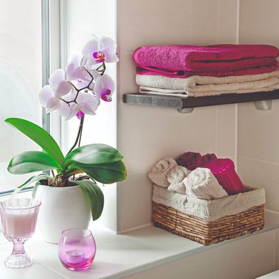 Should you be pruning your orchids? This is how to work out if you need to prune yours or not, according to experts