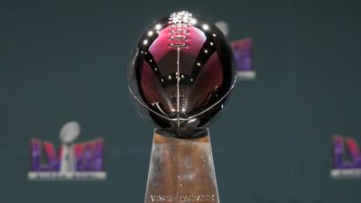 5 Best Fantasy Football Trophy Ideas for Your League Champion in 2024