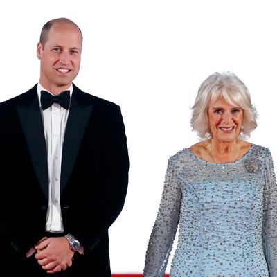 Prince William "Couldn't Stand" Queen Camilla, But They've "Bonded" After 2024's Devastating Events