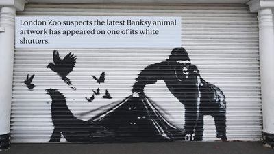 Banksy unveils ninth animal artwork at London Zoo