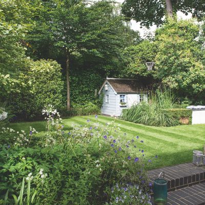 How to use the sun to plan the perfect garden layout - an expert guide to sun mapping