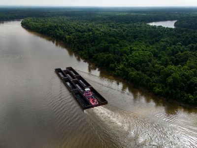 Takeaways from AP's story on Alabama's ecologically important Mobile-Tensaw Delta and its watershed