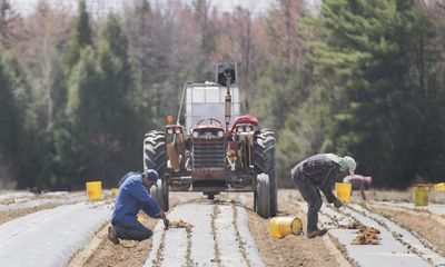 UN envoy calls Canada’s use of migrant workers ‘breeding ground for slavery’