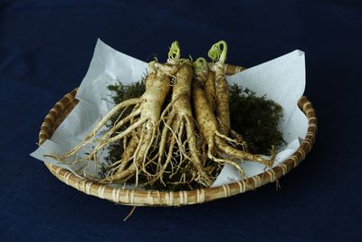 Best Ginseng Supplements: A Comprehensive Guide To Benefits, Uses and Varieties