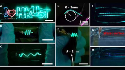 Flexible Fiber LEDs made with perovskite quantum wires should enable advanced wearable displays and other technologies