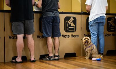 NSW Liberal party campaign in crisis after deadlines missed for council election nominations