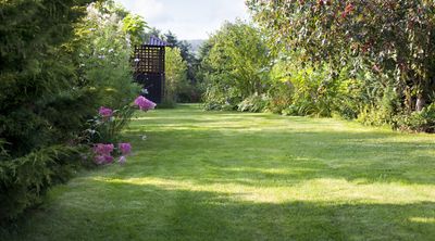 7 Things You Should Do for Your Lawn in August — Good Habits That Will Result in Resilient Turf