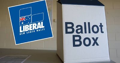 Nervous wait for Hunter Liberals after party misses nomination deadline