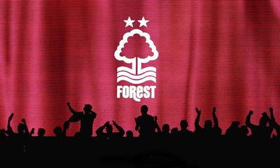 Premier League 2024-25 preview No 16: Nottingham Forest