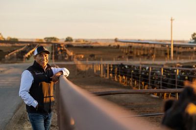 Hey China, got milk? U.S. farmers seek to cash in on growing dairy sector