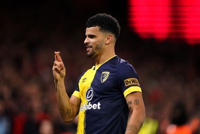 Dominic Solanke can help push Tottenham into top four – Les Ferdinand