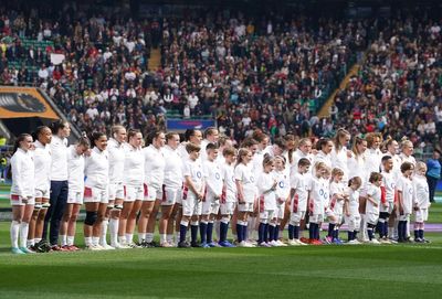 England boss John Mitchell explains why Twickenham renaming as Allianz Stadium is ‘only positive’