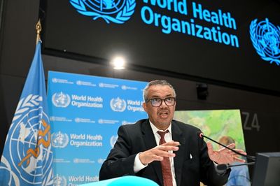 WHO Declares Mpox A Global Health Emergency