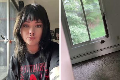 Landlord Ignores Woman’s Pleas For Help After Releasing 1000s Of Bees In House, She Has To Move Out
