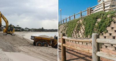 'Lego' sea wall pitched as solution for Jimmy's beach erosion crisis