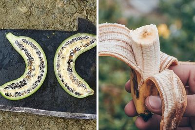 Here Are 14 Photos Of Fruits And Veggies Before And After Humans Domesticated Them