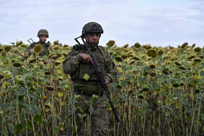 Zelenskyy says Ukrainian offensive advancing as Belgorod declares emergency