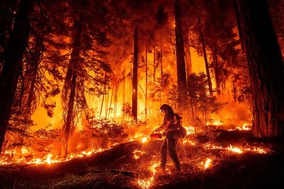 Firefighters gain 40% containment of California's fourth-largest wildfire on record