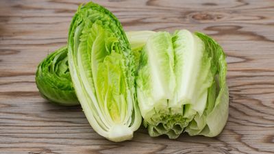 How to harvest romaine lettuce – and get multiple croppings from a single plant