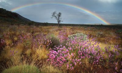 Tell us: where is your favourite place in Australia for spring wildflowers?