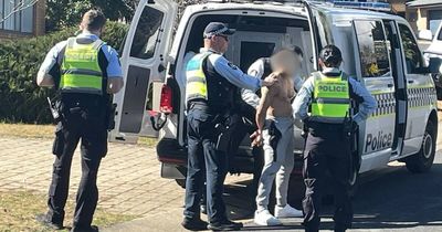 'Could have been quite disastrous': guns, drugs, a police pursuit and a cubby house