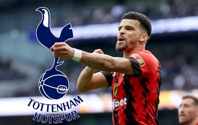 “Signing Dominic Solanke is like when Tottenham signed Jurgen Klinsmann to replace me: working under Ange Postecoglou, he’ll improve and score even more than he did at Bournemouth” – Teddy Sheringham hails new Spurs buy