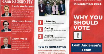 The Labor campaign flyer that isn't a Labor Party flyer