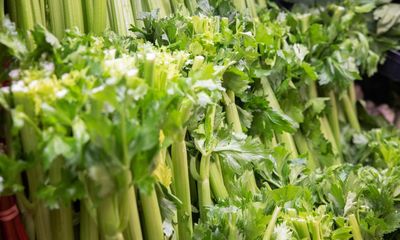 More than 2,300lb of meth found hidden under celery at Atlanta farmers’ market