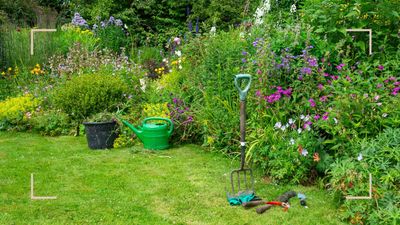 Enjoy a 'second summer flush' from your favourite plants – experts say now is the time to act before it's too late