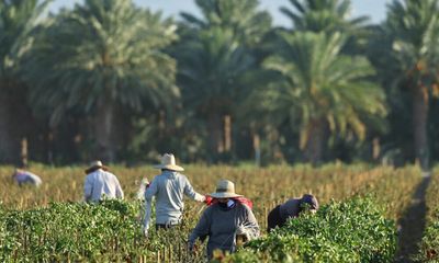 California Cuts Back on Safety Enforcement as Farmworkers Toil in Extreme Heat