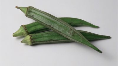 ‘Picking okra when it's ready can be tricky’ – avoid tough pods with our expert tips for harvesting okra at the perfect time