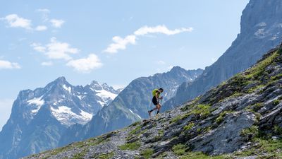 12-and-a-half Everests! Ultra athlete sets new world record on run across the Alps