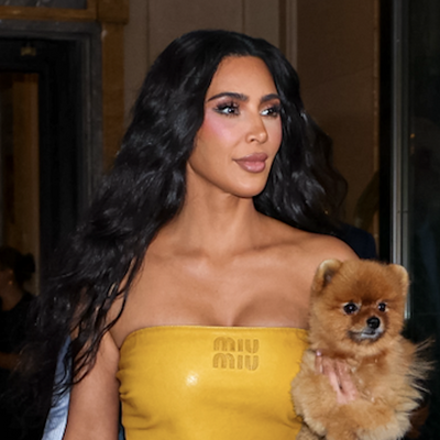 Kim Kardashian Color-Coordinates Gigi Hadid's Favorite Miu Miu Top With a Matching Birkin—and Her Pomeranian