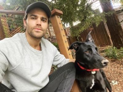 Paul Wesley Shares Heartwarming Moment With Beloved Dog