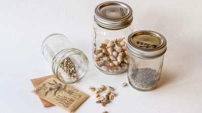 DIY seed storage ideas – 5 ways to repurpose items for safe seed storage