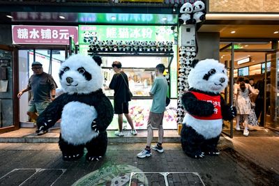 Hong Kong Welcomes Birth Of First Giant Panda Cubs