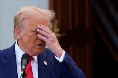 Flustered Trump still has no answer to Kamala Harris’s campaign