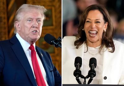 Harris and Trump have never been in the same room together. A debate will change that