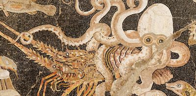 Aristotle, Aelian and the giant octopus: the earliest ‘citizen science’ goes back more than 2,000 years