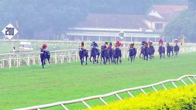 Pune Races: Jendayi for feature
