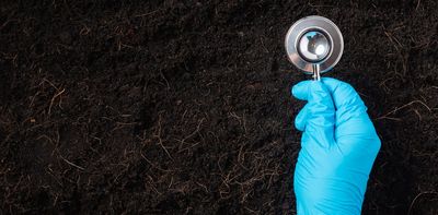 Crackles, clicks and pops – now we can monitor the ‘heartbeat’ of soil